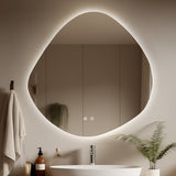 Bungalow Mercer-Dib Brun Frameless Lighted Bathroom Mirror Anti-Fog LED Wall Mirror