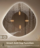 Mirae Led Mirror Three Color Dimmable Light, Defogger